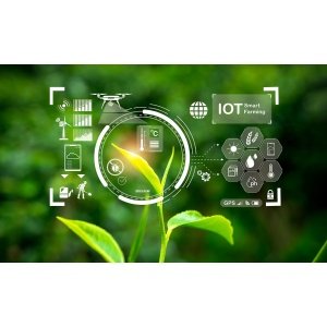 IoT SIM card used in agriculture sensors and trackers