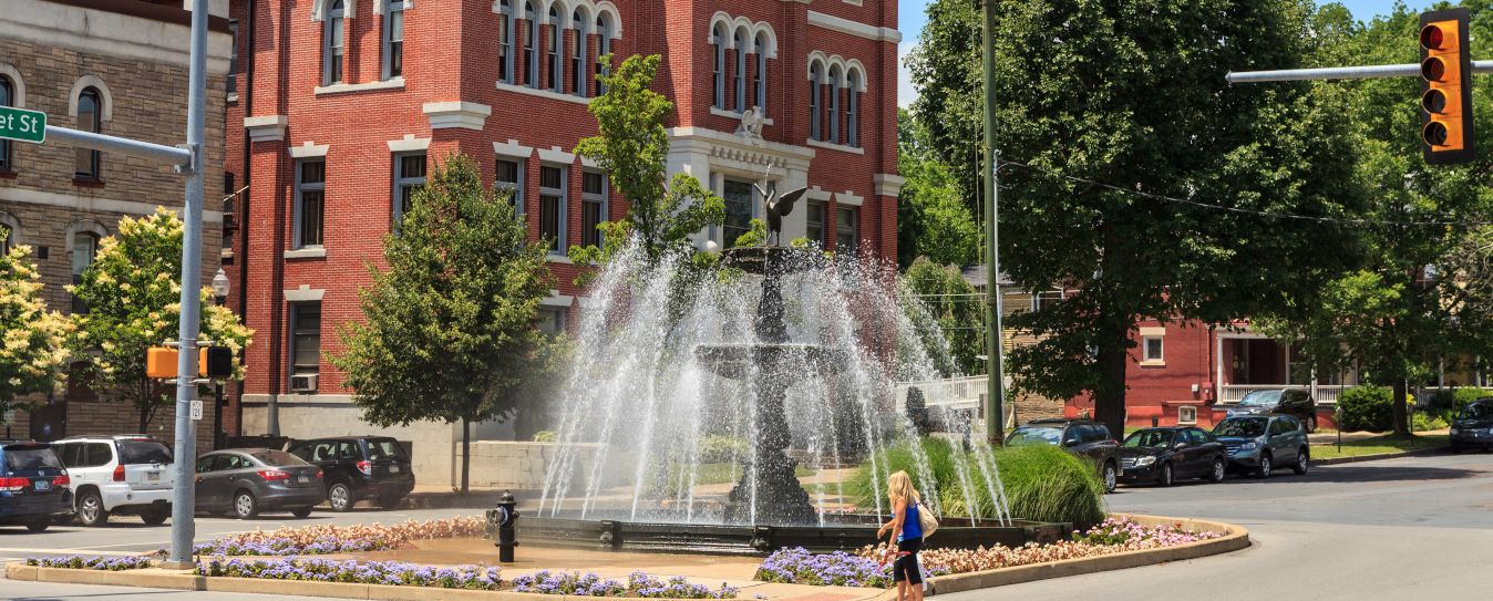 rassbach communications industries municipalities and government